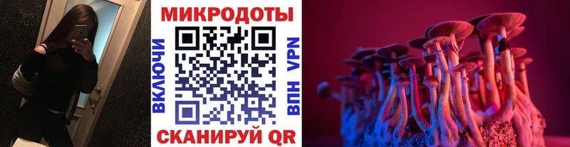 Купить  Кстово  Галлюциногенные грибы Psilocybine cubensis 